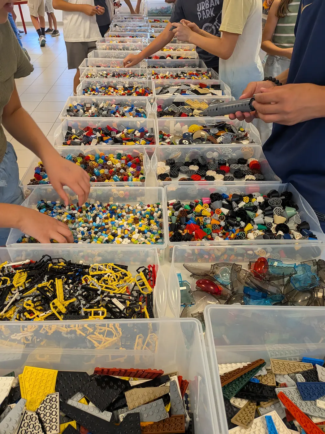 Sous-Hub écoles 4 21/10/2026 Matériel d'animation école : de longues tables de bacs de briques LEGO® triées par pièce, prêtes pour les élèves